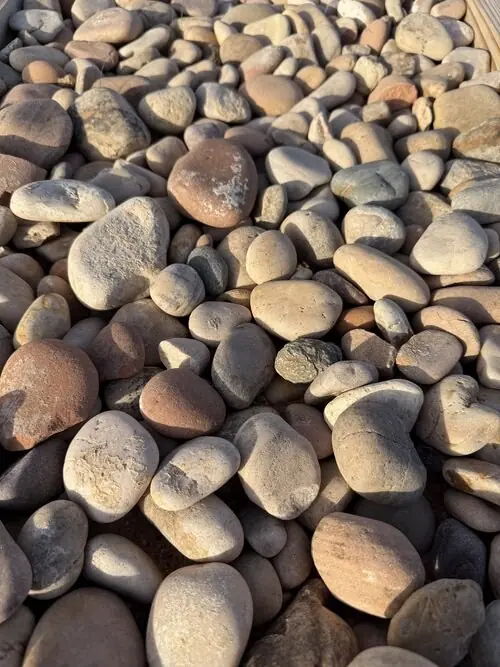 1 to 3 inch Tan Red Cobble landscape rock, close up