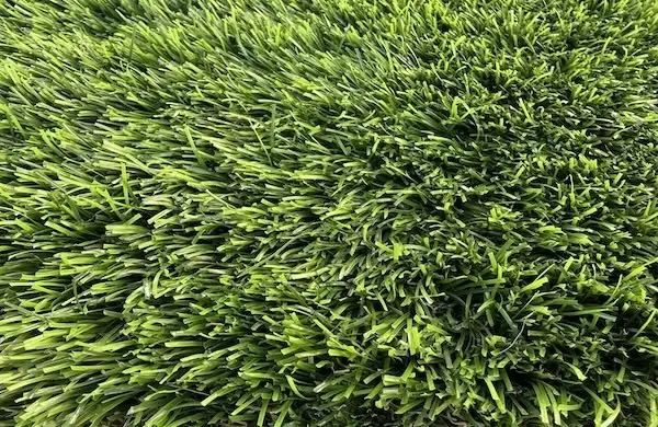 Close up of a turf sample with trim style blades, from above