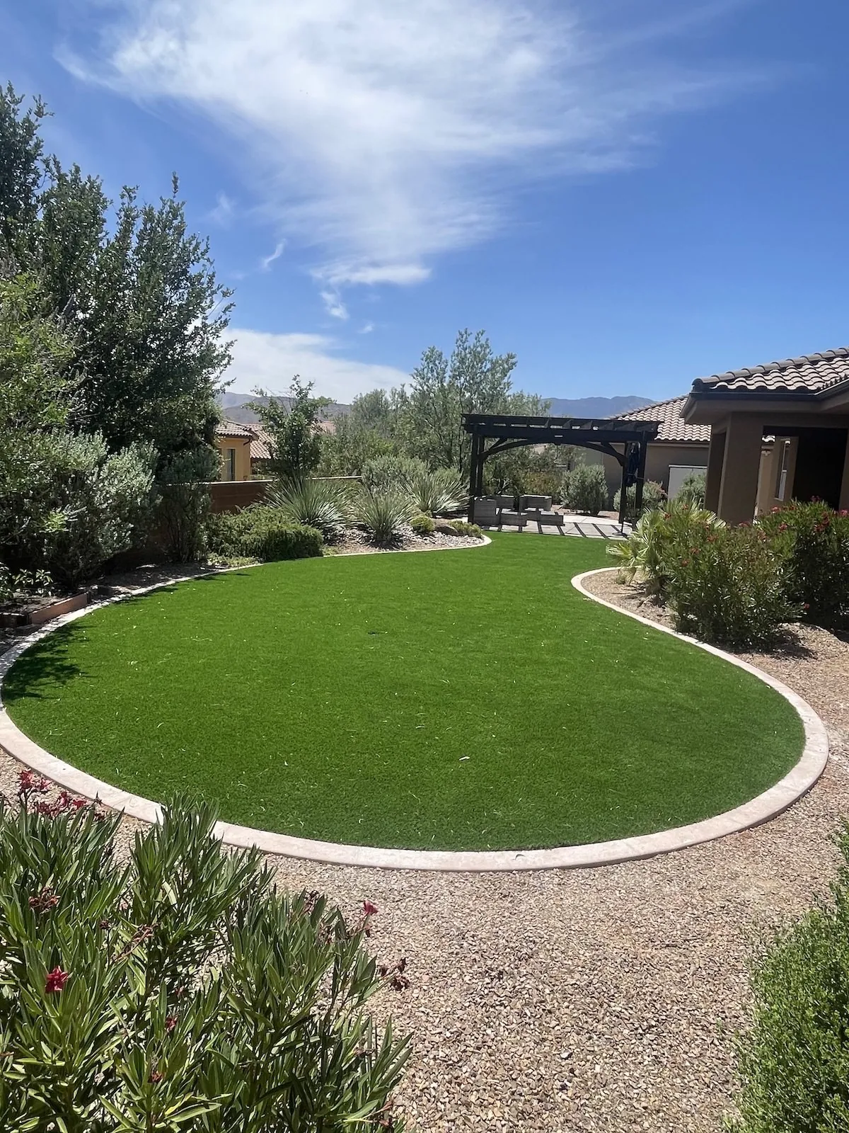 Curved artificial turf lawn in a desert backyard
